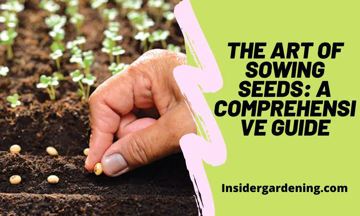 The Art of Sowing Seeds A Comprehensive Guide