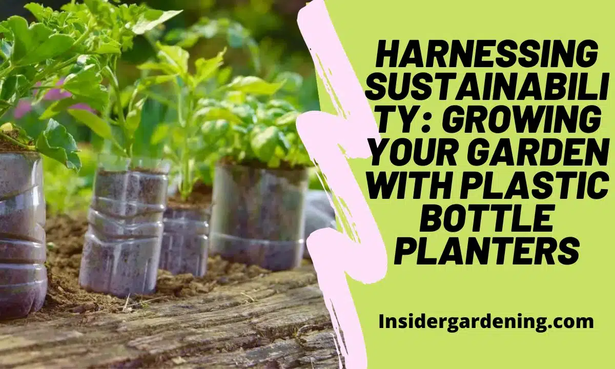 Harnessing Sustainability Growing Your Garden with Plastic Bottle Planters