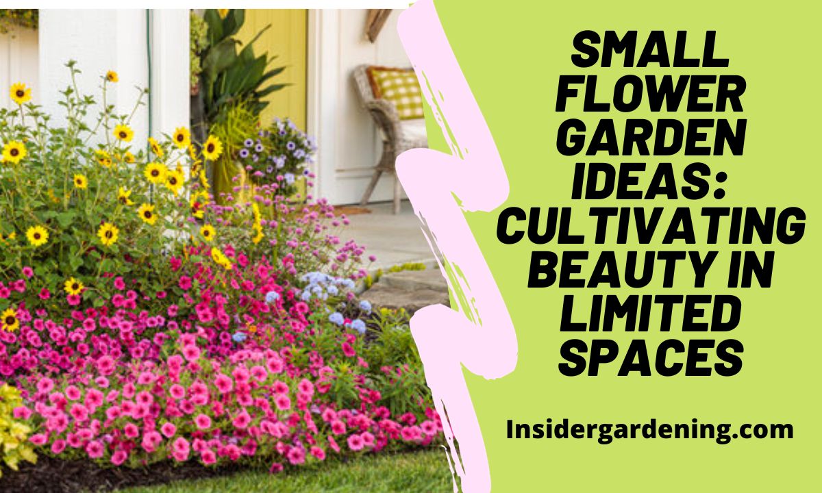 Small Flower Garden Ideas Cultivating Beauty in Limited Spaces