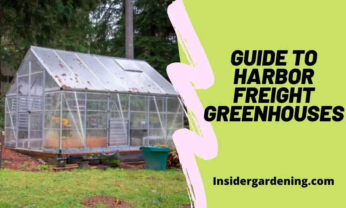 Your Ultimate Guide to Harbor Freight Greenhouses